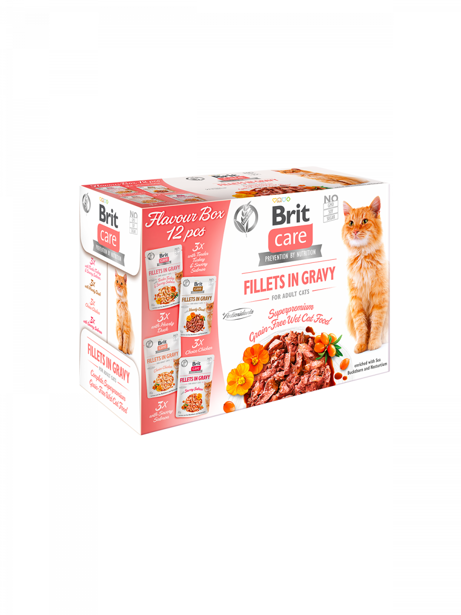 Brit Care Fillets in Gravy – Flavour Box (12 pcs)